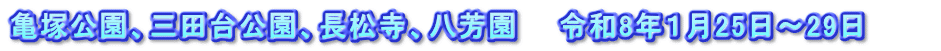 亀塚公園、三田台公園、長松寺、八芳園　　令和8年１月25日～29日　　　