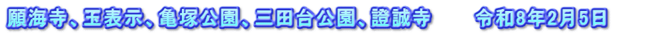 願海寺、玉表示、亀塚公園、三田台公園、證誠寺　　　令和8年2月5日　　　