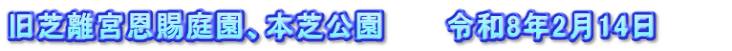 旧芝離宮恩賜庭園、本芝公園　　　令和8年2月14日　　　