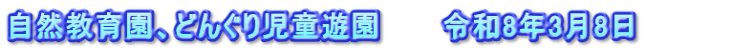 自然教育園、どんぐり児童遊園　　　令和8年3月8日　　　　