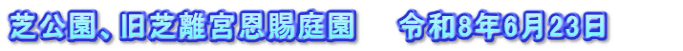 芝公園、旧芝離宮恩賜庭園　　令和8年6月23日　　　