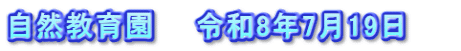 自然教育園　　令和8年7月19日　　