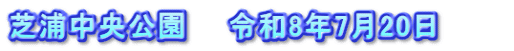 芝浦中央公園　　令和8年7月20日　　　