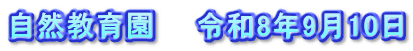 自然教育園　　令和8年9月10日