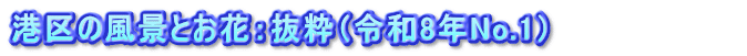 港区の風景とお花：抜粋（令和8年No.1）　　　　　　　　
