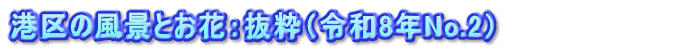 港区の風景とお花：抜粋（令和8年No.2）　　　　　　　　
