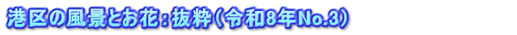 港区の風景とお花：抜粋（令和8年No.3）　　　　　　　　　　　