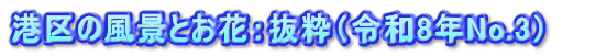港区の風景とお花：抜粋（令和8年No.3）　　