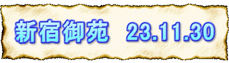 Vh䉑@23.11.30