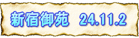 Vh䉑@24.11.2