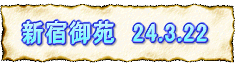Vh䉑@24.3.22