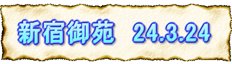 Vh䉑@24.3.24