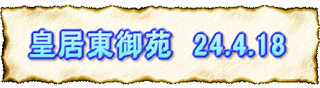 c䉑@24.4.18