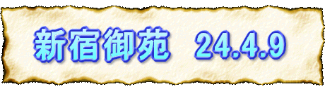 Vh䉑@24.4.9