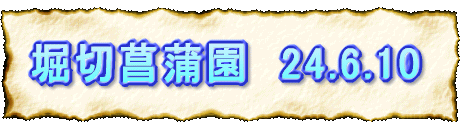 x؏Ҋ@24.6.10