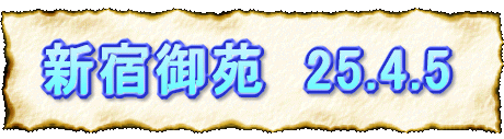 Vh䉑@25.4.5