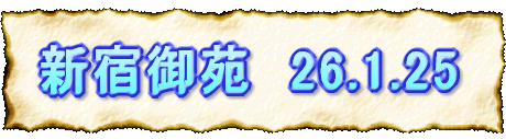 Vh䉑@26.1.25