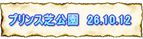 vXŌ@26.10.12