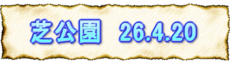 Ō@26.4.20