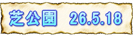 Ō@26.5.18