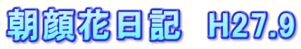 ԓL@H27.9