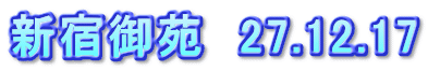 新宿御苑　27.12.17