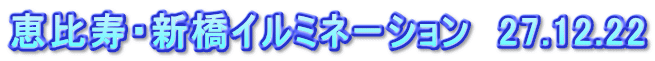 恵比寿・新橋イルミネーション　27.12.22