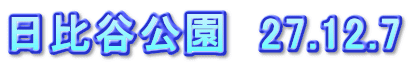 日比谷公園　27.12.7