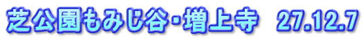 芝公園もみじ谷・増上寺　27.12.7
