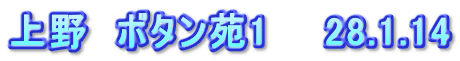 上野　ボタン苑1　　28.1.14