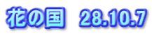 花の国　28.10.7