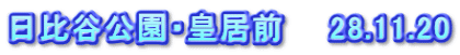 日比谷公園・皇居前　　28.11.20