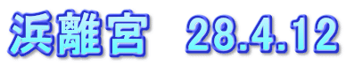 浜離宮　28.4.12