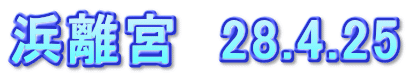 浜離宮　28.4.25