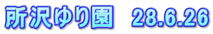 所沢ゆり園　28.6.26