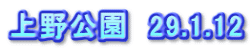 上野公園　29.1.12