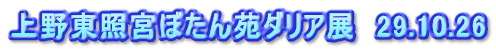 上野東照宮ぼたん苑ダリア展　29.10.26