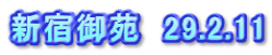 新宿御苑　29.2.11