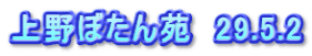 上野ぼたん苑　29.5.2