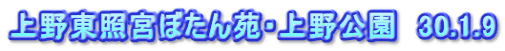 上野東照宮ぼたん苑・上野公園　30.1.9