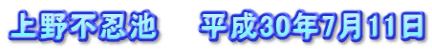 上野不忍池　　平成30年7月11日
