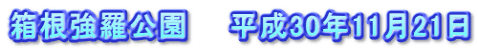 箱根強羅公園　　平成30年11月21日