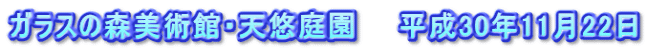 ガラスの森美術館・天悠庭園　　平成30年11月22日