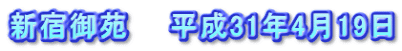 新宿御苑　　平成31年4月19日