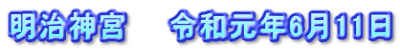明治神宮　　令和元年6月11日