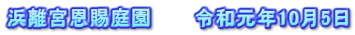 浜離宮恩賜庭園　　　令和元年10月5日