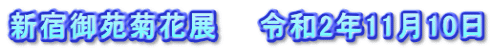 新宿御苑菊花展　　令和2年11月10日