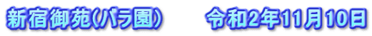 新宿御苑(バラ園)　　　令和2年11月10日
