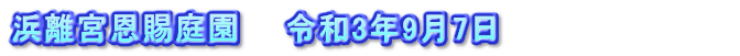浜離宮恩賜庭園　　令和3年9月7日　　　　　　　　　　