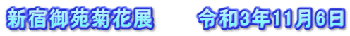 新宿御苑菊花展　　　令和3年11月6日